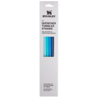 Adventure Quencher Travel Tumbler Straws | 30 OZ | 4-Pack